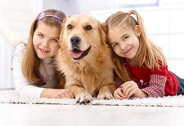 Pet Stain Removal | Garden Grove, CA