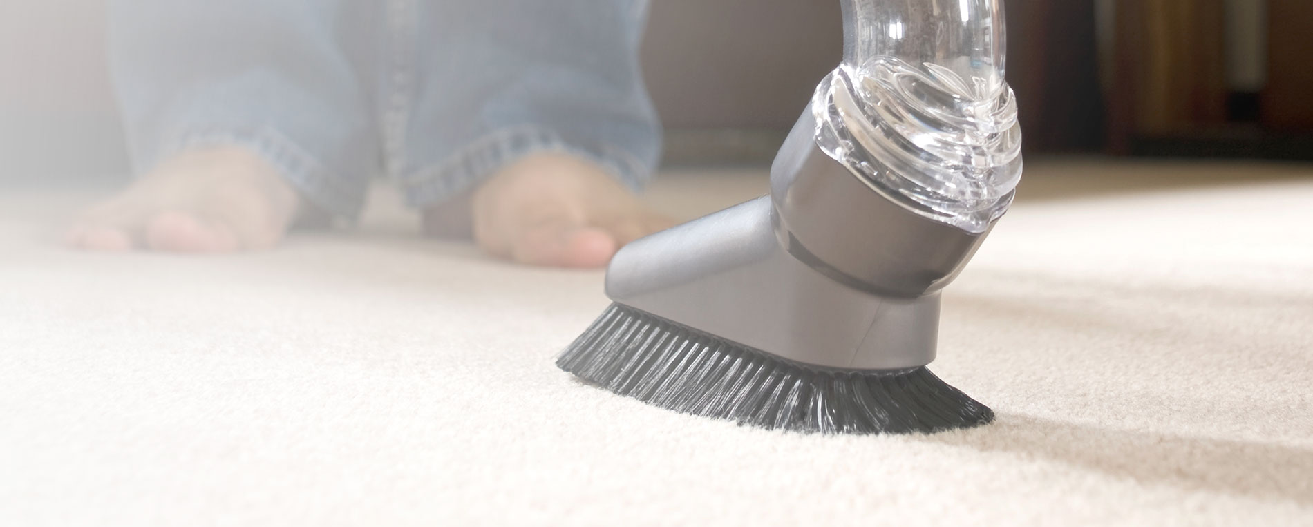 How You Can Save Time With Quality Carpet Cleaning Services